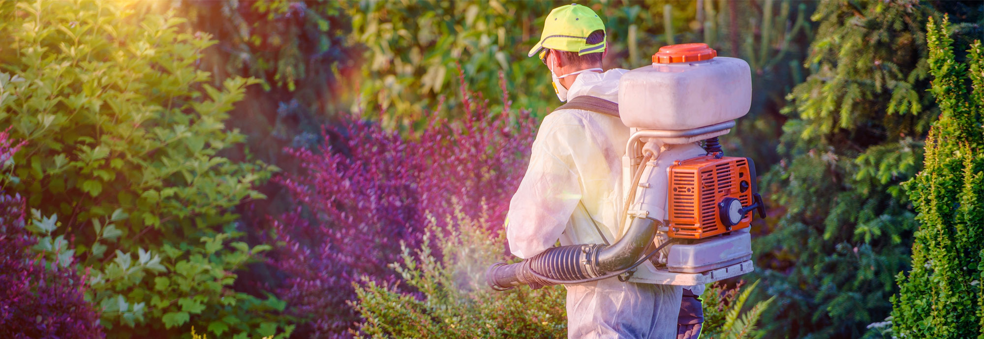 Pest control technician treating a property