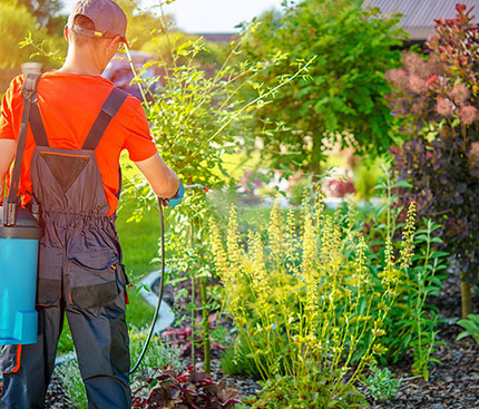 Technician handling a residential pest treatment